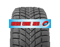 DELINTE WD6 205/50 R17 93H XL M+S